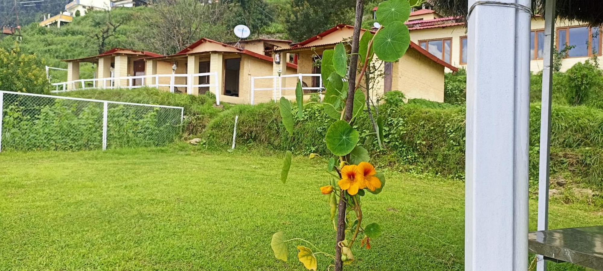 The Hillans Resort & Cottages Kanatal Exterior photo